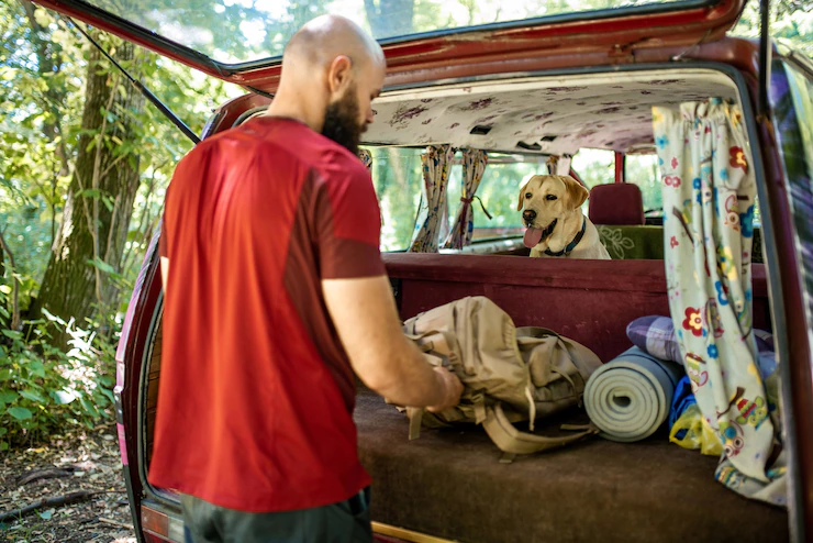 campervan security