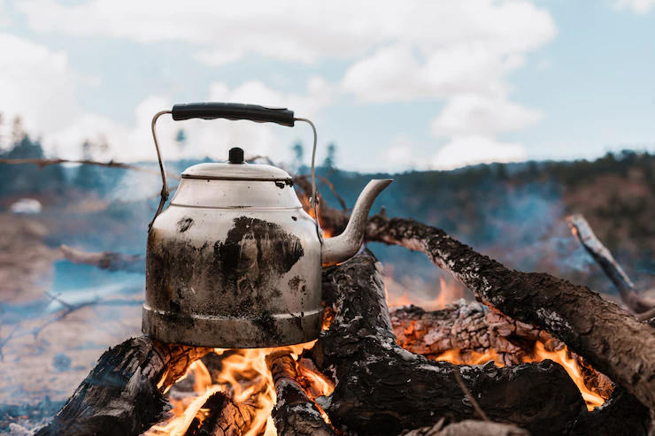 campervan essentials